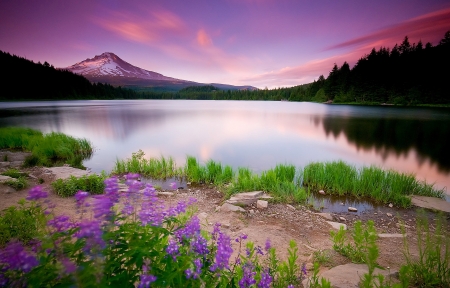 批量更改文件名